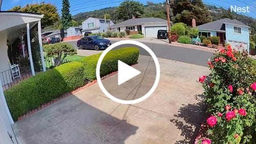 Customer video review of Everlasting Garden Hose