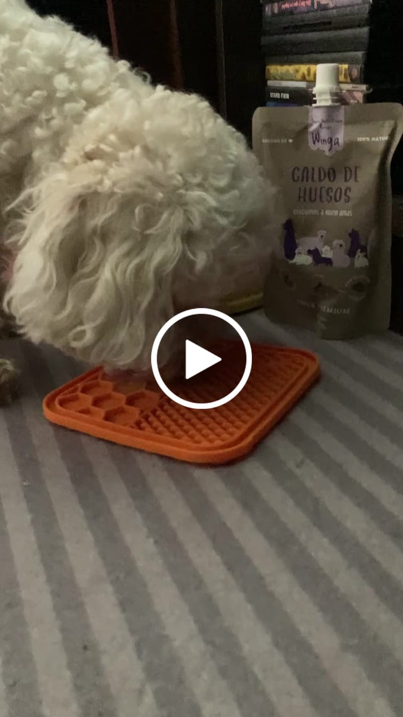 Customer video review of Caldo de Huesos Perros