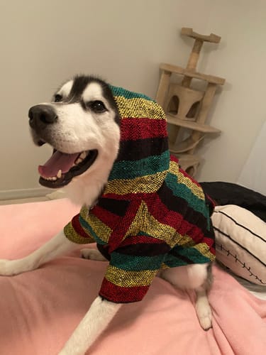 Customer photo review of Playa Poncho - Surprise Color