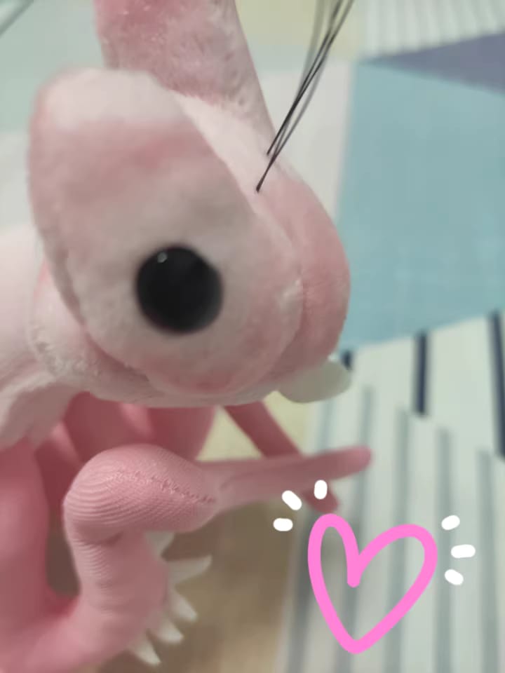 Customer photo review of Realistic Pink Orchid Mantis Plush – Lifelike, Soft, and Perfect for Insect Enthusiasts