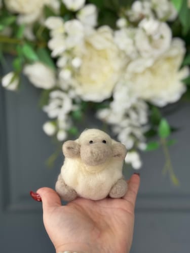 Customer photo review of White Sheep Mini Needle Felting Kit