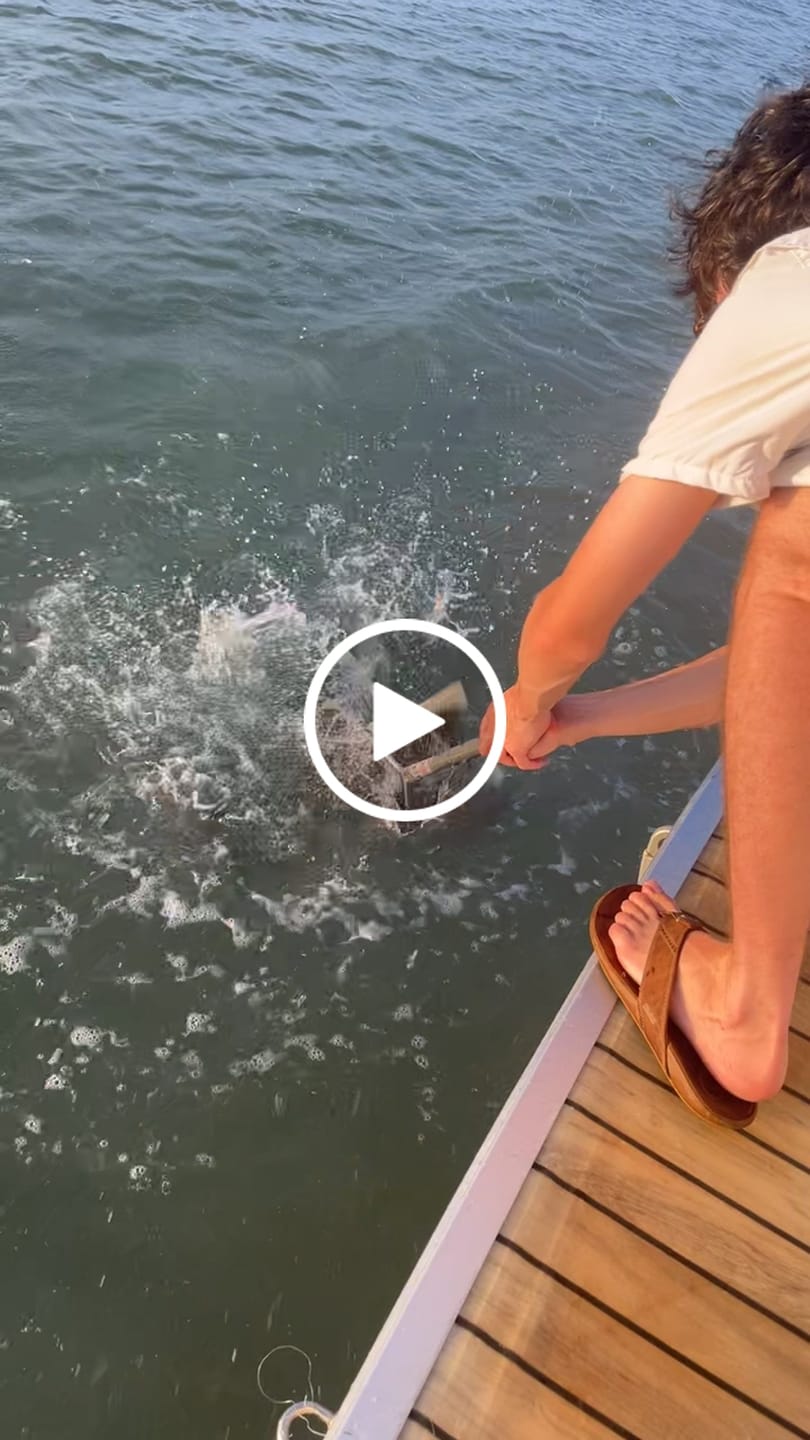 Customer video review of Pre-tied Dropper Loop Rigs USA