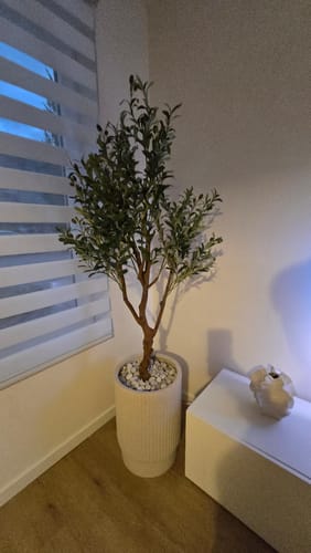 Customer photo review of Kunst Olijfboom 150cm