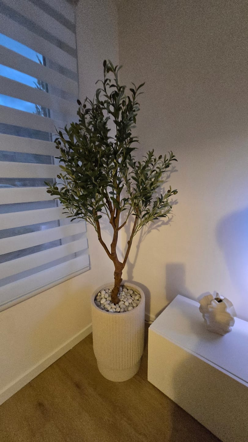 Customer photo review of Kunst Olijfboom 150cm