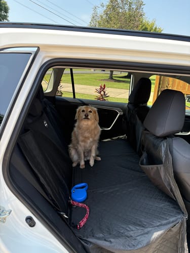 Customer photo review of NEW Waterproof Hard Bottom Car & Truck Seat Foldable Hammock Cover With Storage Pockets, Side Flaps, Headrest Straps, Seat Anchors, & Mesh Window (+FREE SAFETY BELT!)