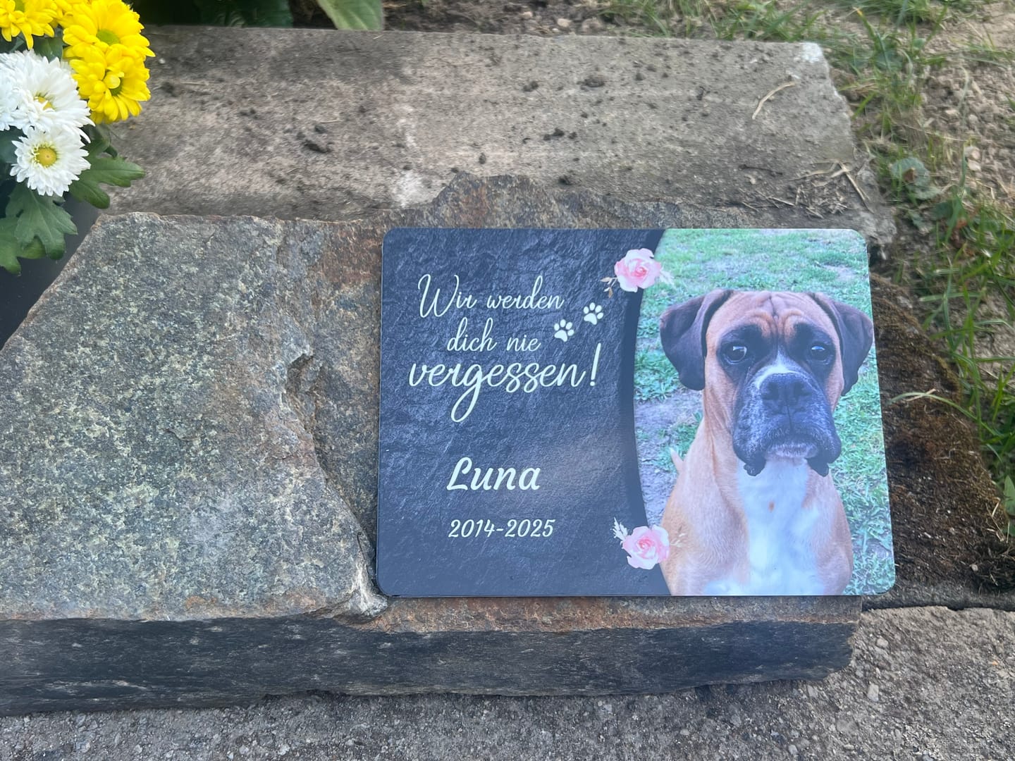 Customer photo review of Hunde Gedenktafel mit Foto & Spruch (UV- & Wetterfest)