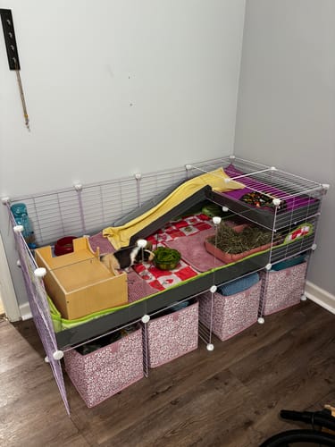 Customer photo review of C&C Cage Extension