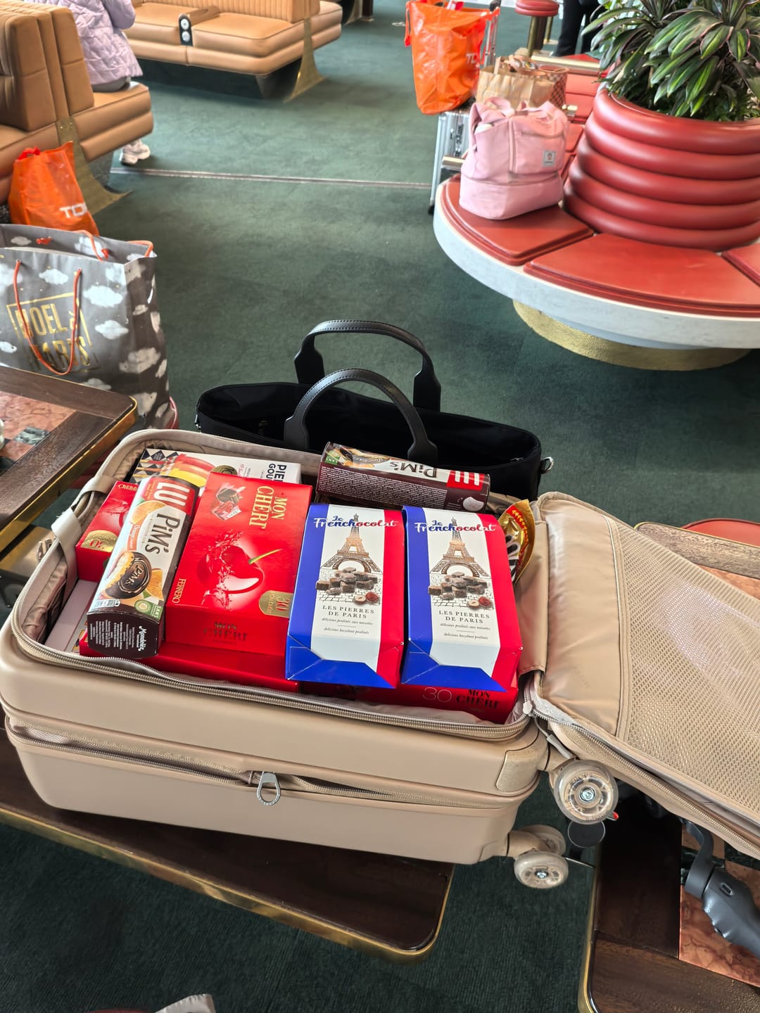 Customer photo review of Bigger Tank Carry-On in Harbor Mist