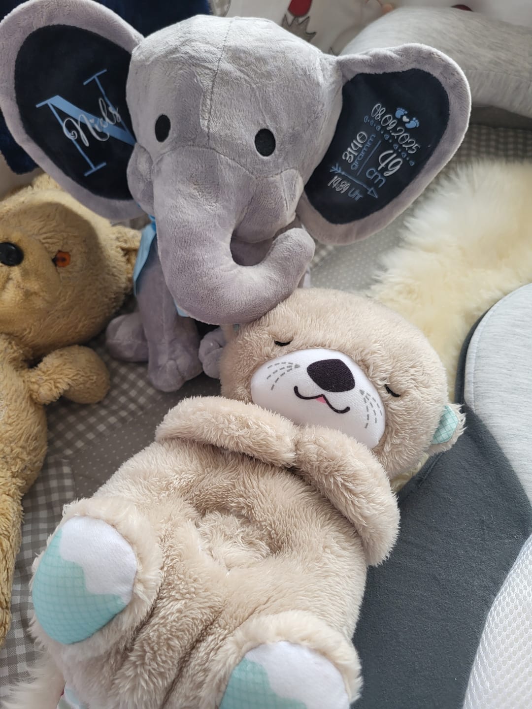 Customer photo review of Kuschel Elefant - Baby-Stofftier