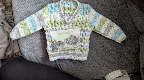 Customer photo review of September 25 - Baby Boy Every Month