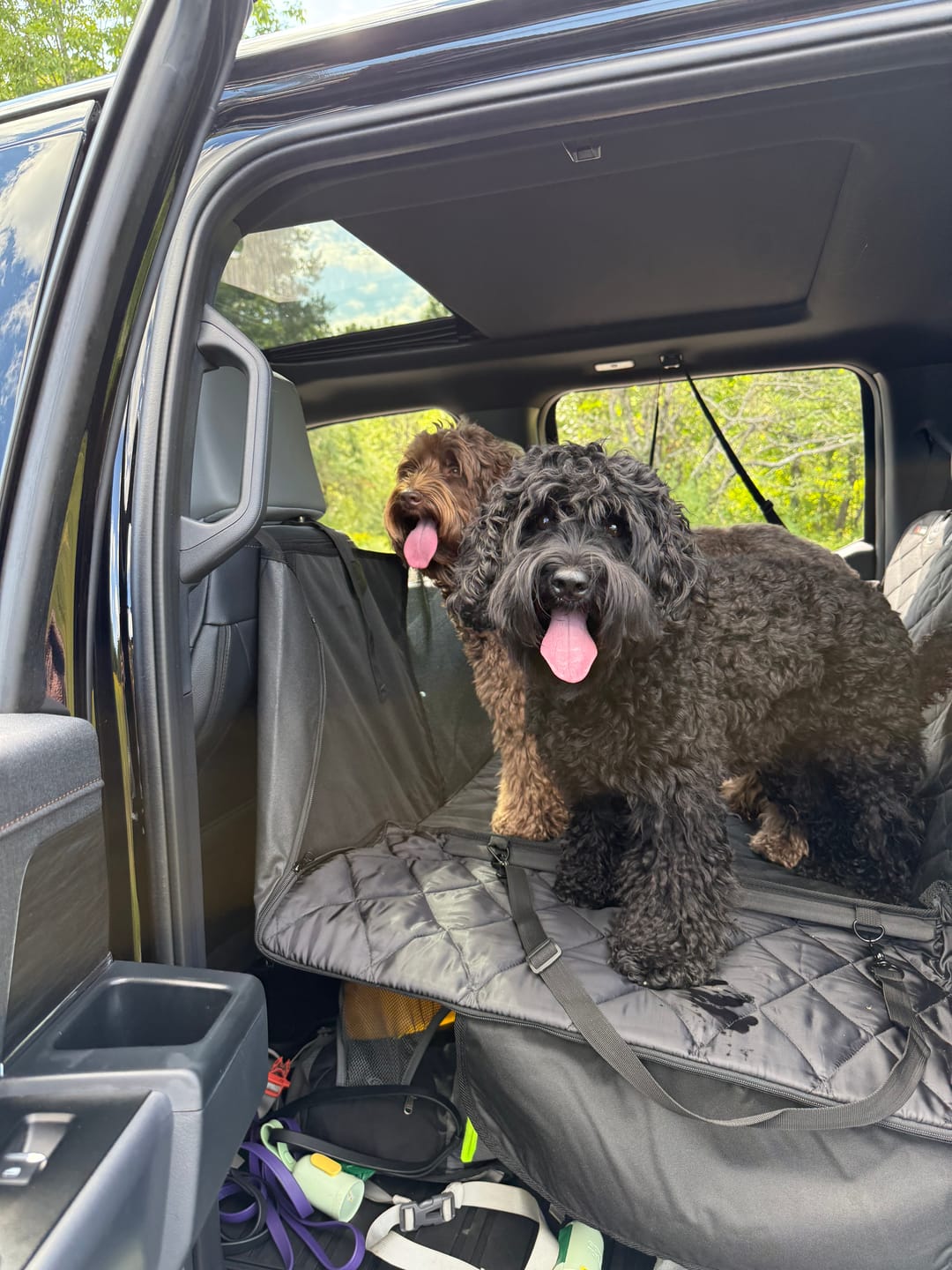 Customer photo review of 4Knines Hard Bottom Extender Car Seat Cover for Dogs - XL
