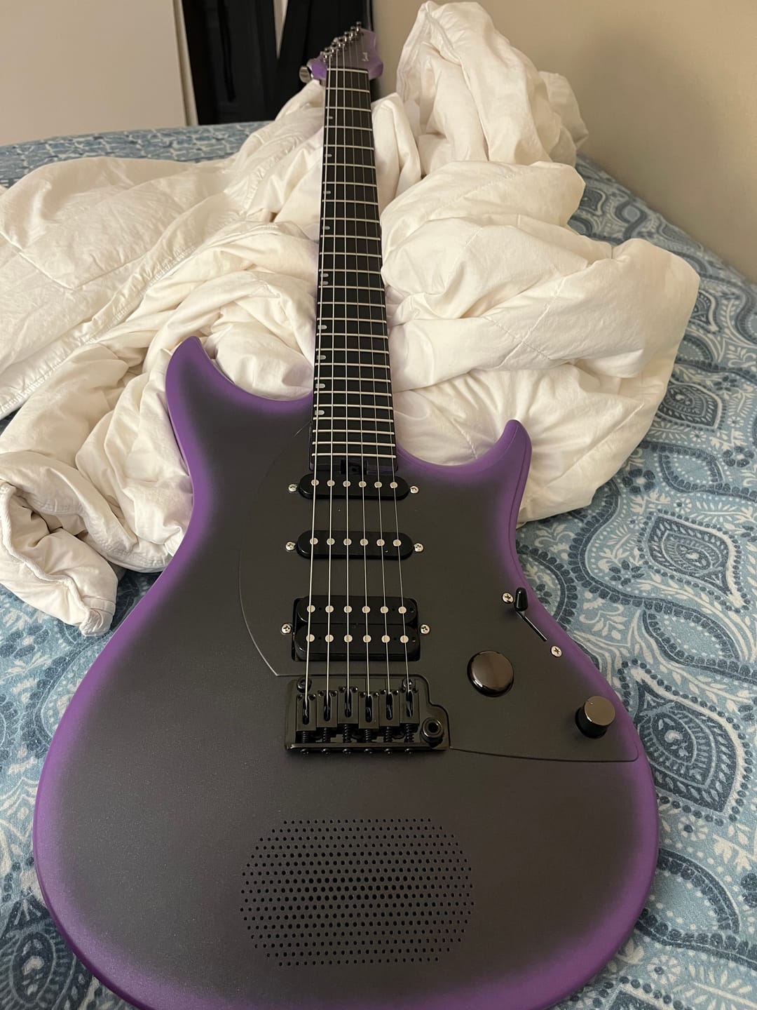 Customer photo review of Inspire
