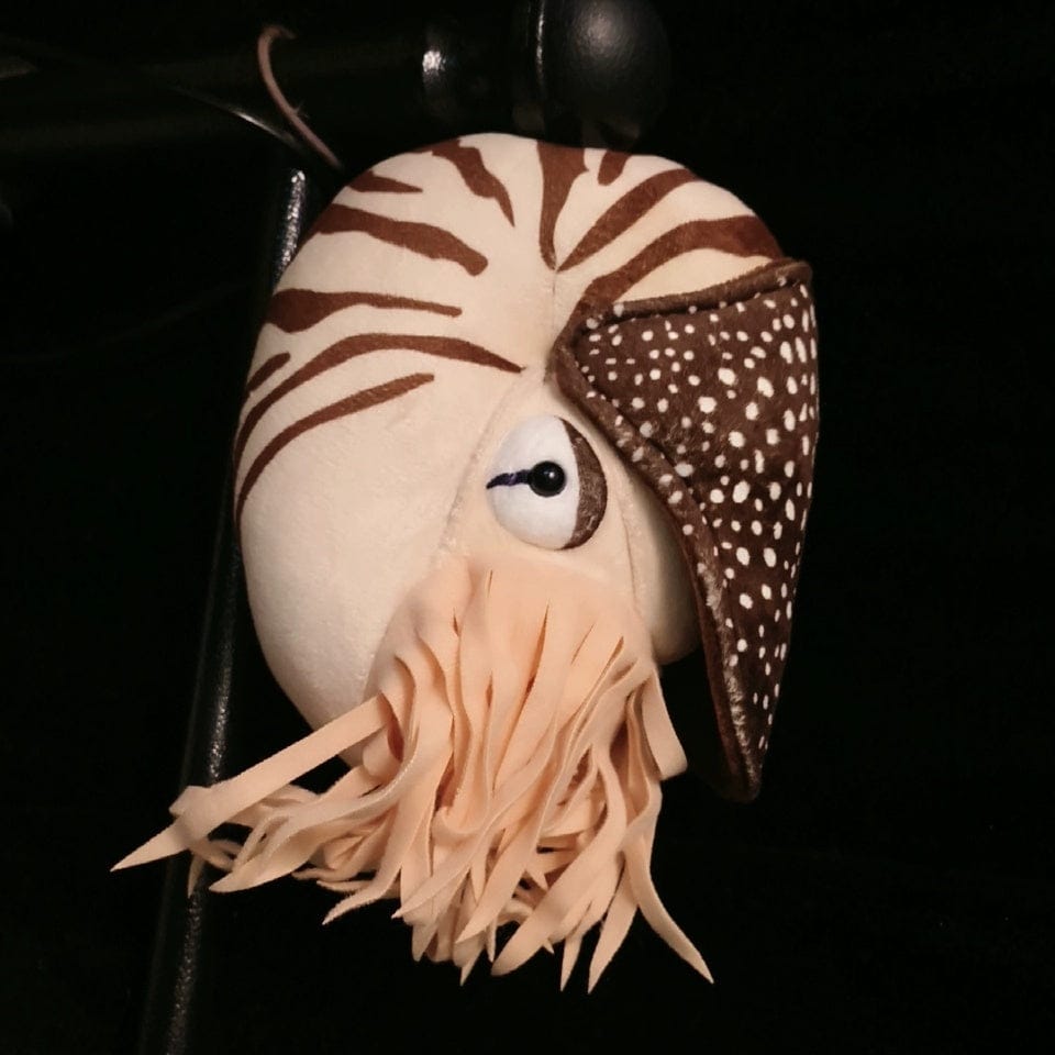 Customer photo review of Nautilus Plush Toy – Soft and Realistic Marine Stuffed Animal