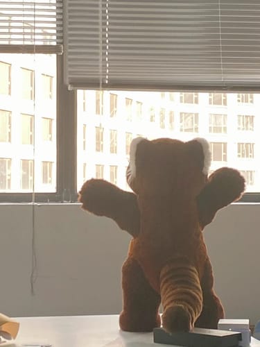 Customer photo review of Red Panda Plush Toy - Adorable and Lifelike Design