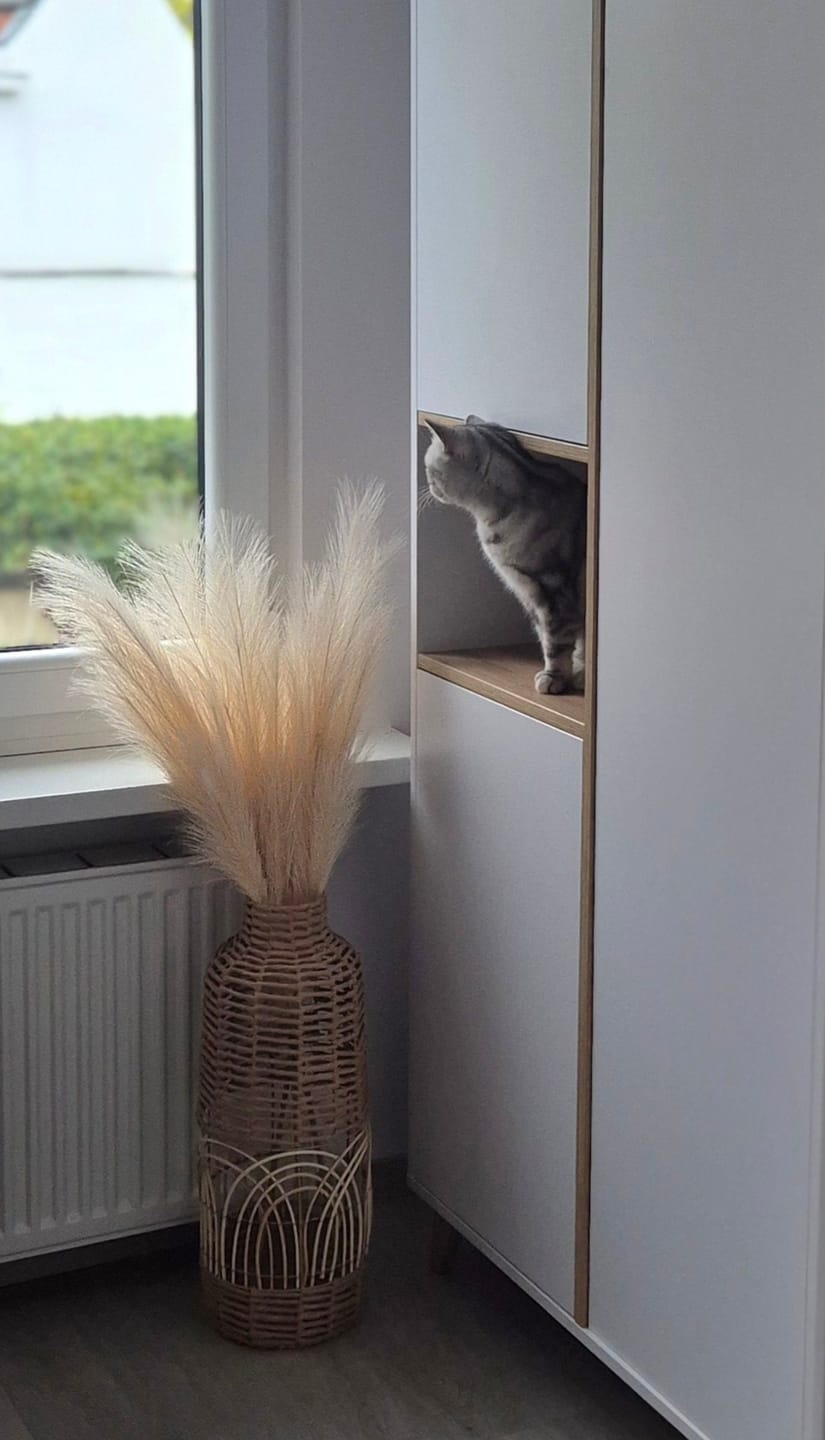 Customer photo review of Pampas 110cm (3 stengels)- Crème