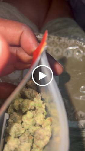 Customer video review of Value Indoor Smalls