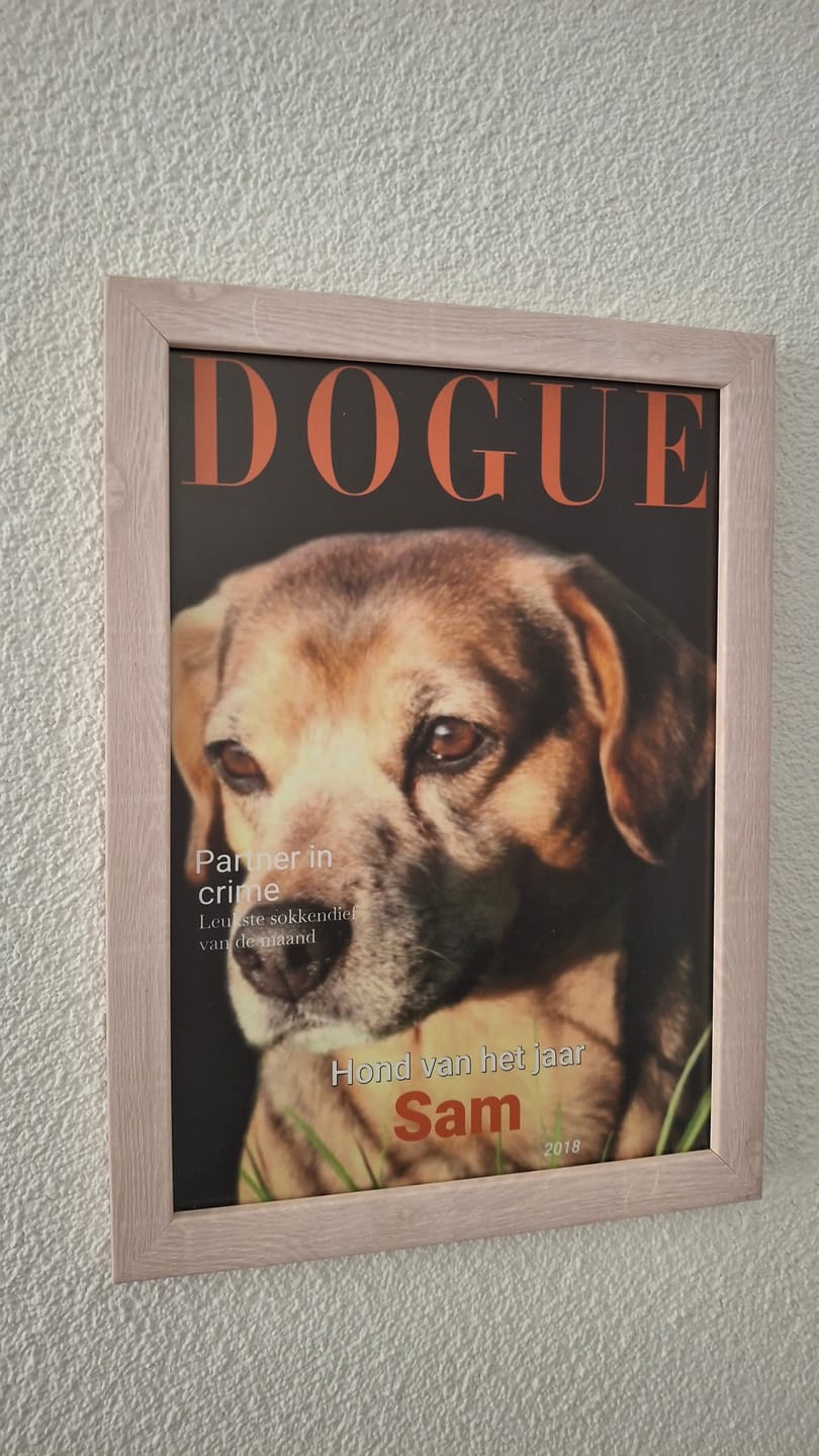 Customer photo review of Dogue - Gepersonaliseerde Poster