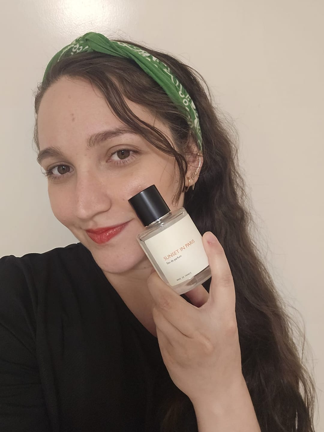 Customer photo review of Sunset in Paris