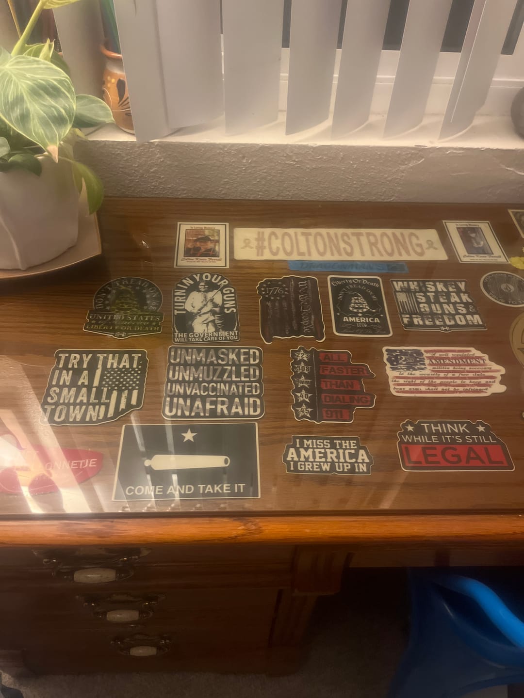 Customer photo review of Don't Tread on Me Decal