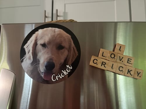 Customer photo review of Your photo - Personalized Car Magnet