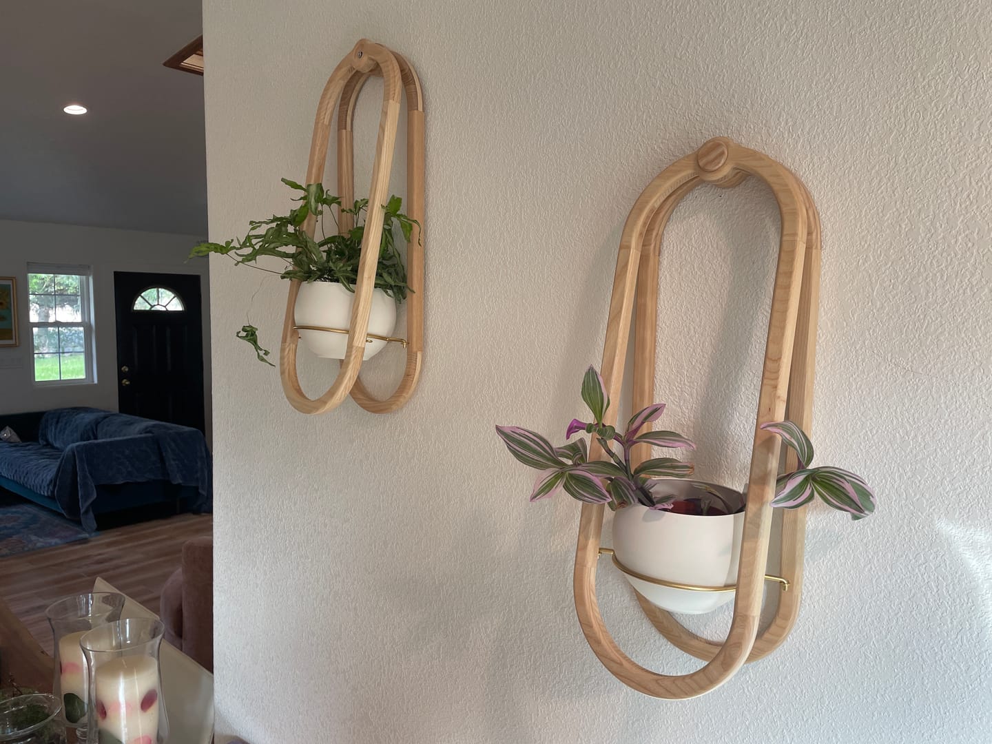 Customer photo review of Frame Wall Planter + Pot Duo