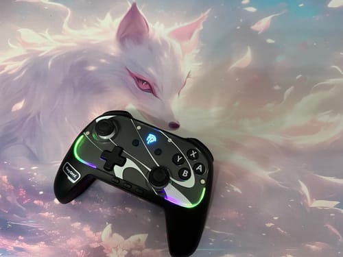 Customer photo review of EasySMX® S10 Gaming Controller for Switch 2: TMR Sticks, HD Rumble, Swappable D-pad - Pre-order