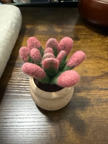 Customer photo review of Sunrise Succulent Mini Needle Felting Kit
