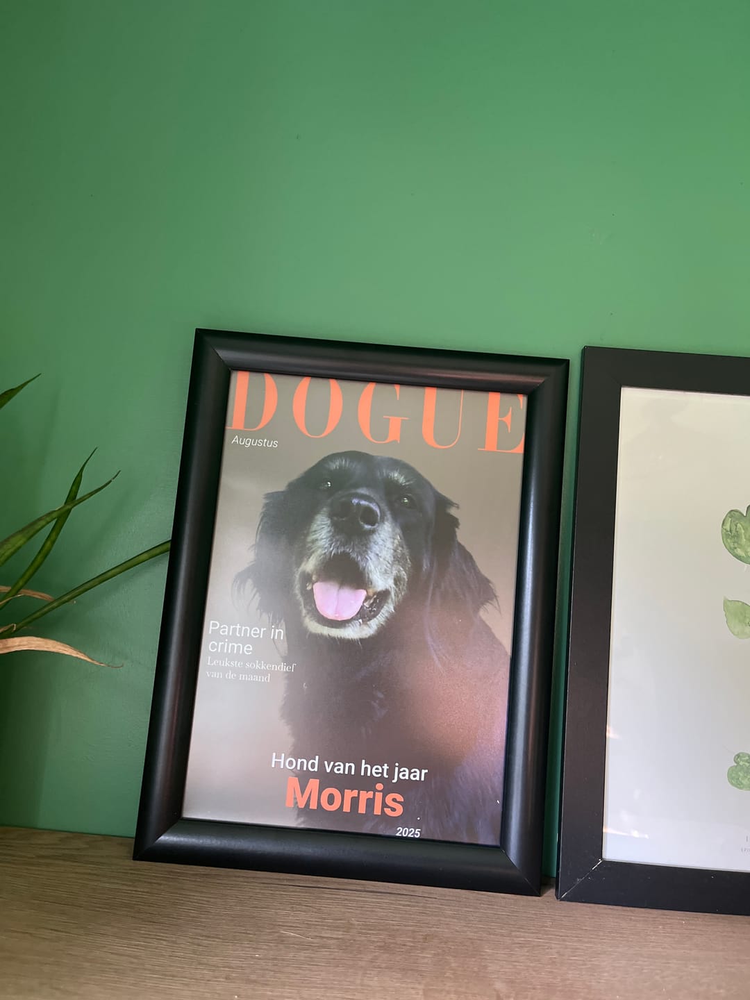 Customer photo review of Dogue - Gepersonaliseerde Poster