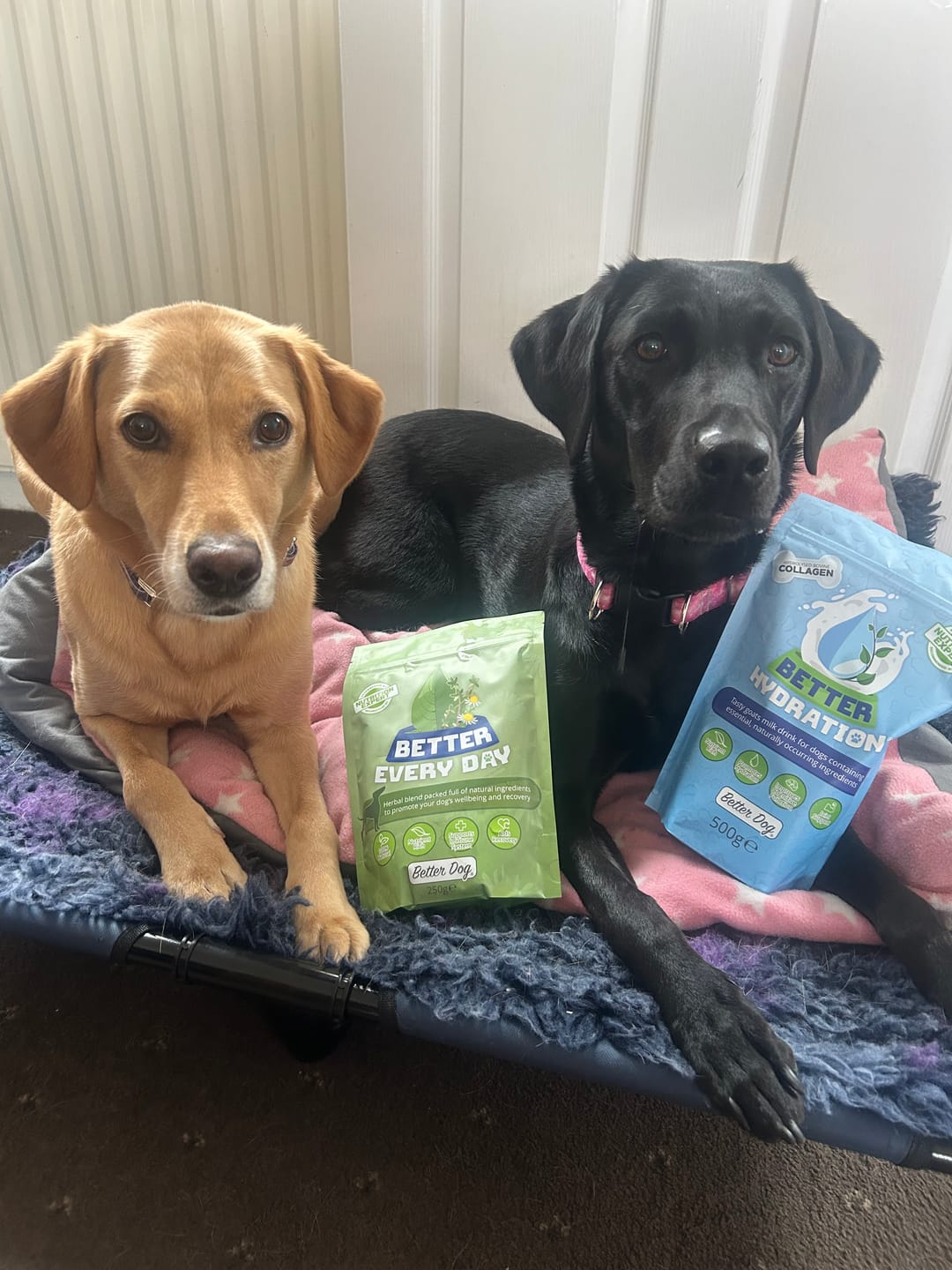 Customer photo review of Better Every Day