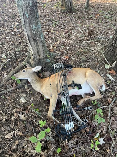 Customer photo review of Aluminum Broadheads