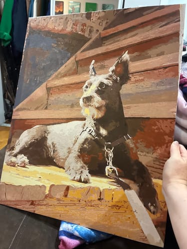 Customer photo review of Custom Paint By Numbers