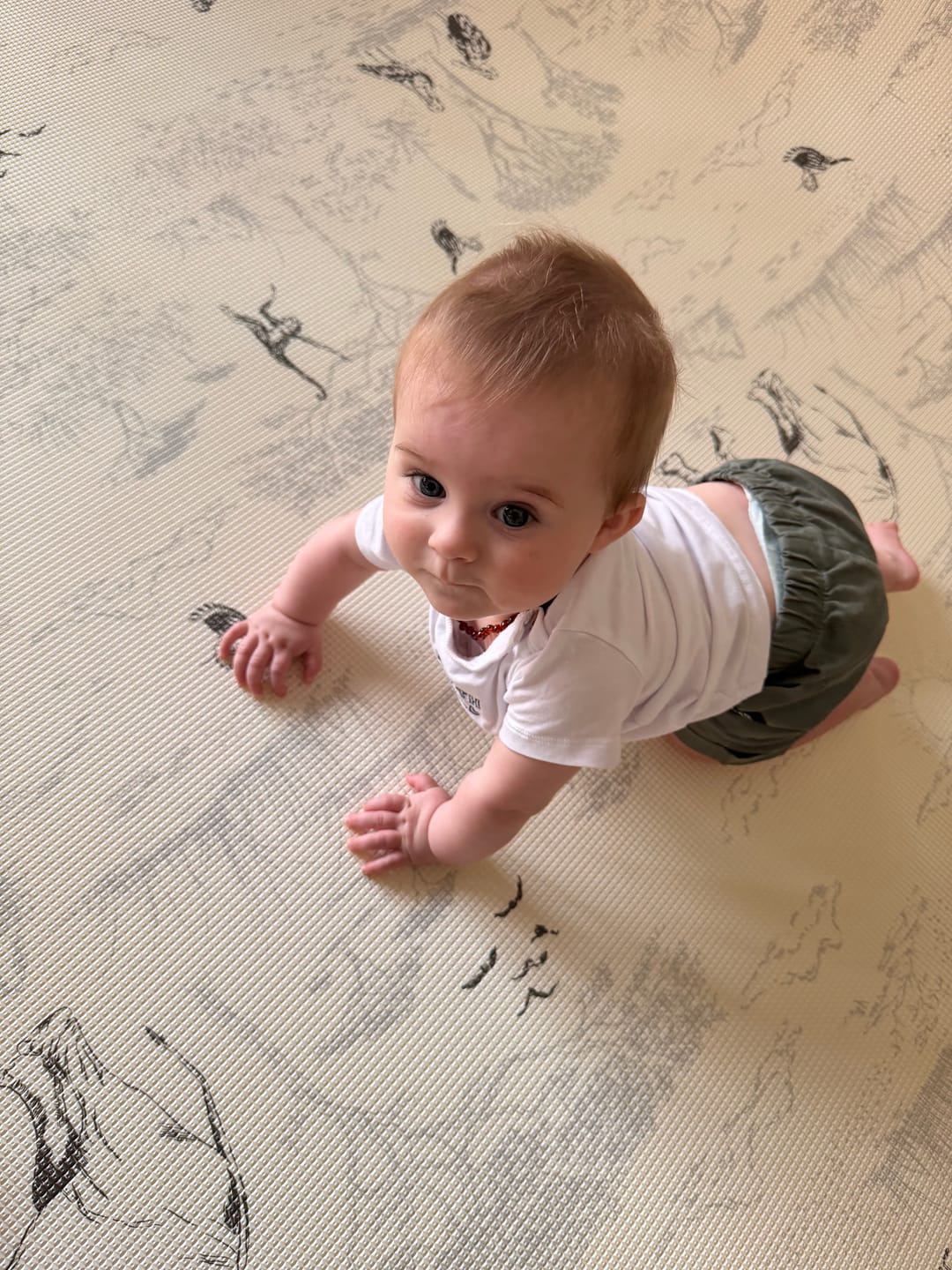 Customer photo review of Safari Toile/ Dune Play Mat (Large)