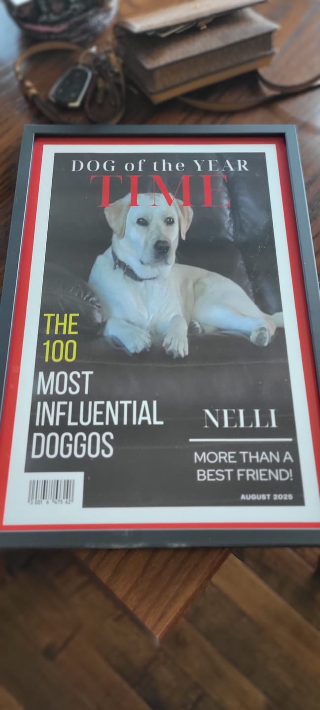 Customer photo review of Dog of the Year Magazine Cover
