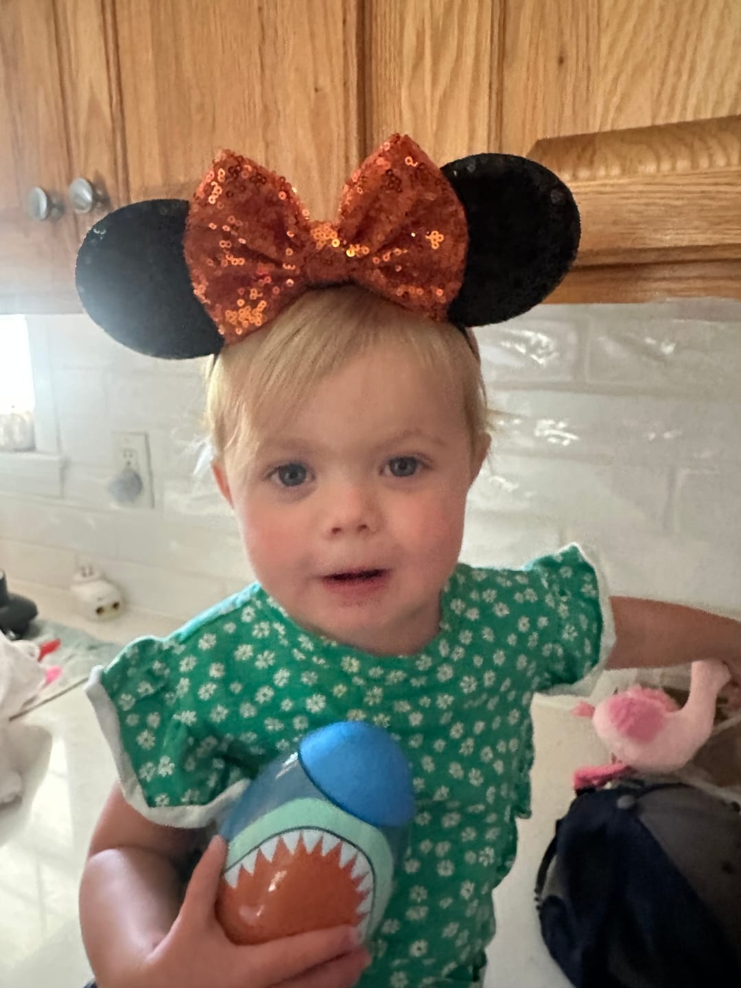 Customer photo review of Create Your Own Elastic Ears