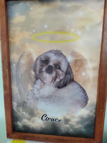 Customer photo review of Pet Loss With Halo & Wings Heavenly - Personalized Customized Canvas Poster - Memorial Gift For Pet Lovers