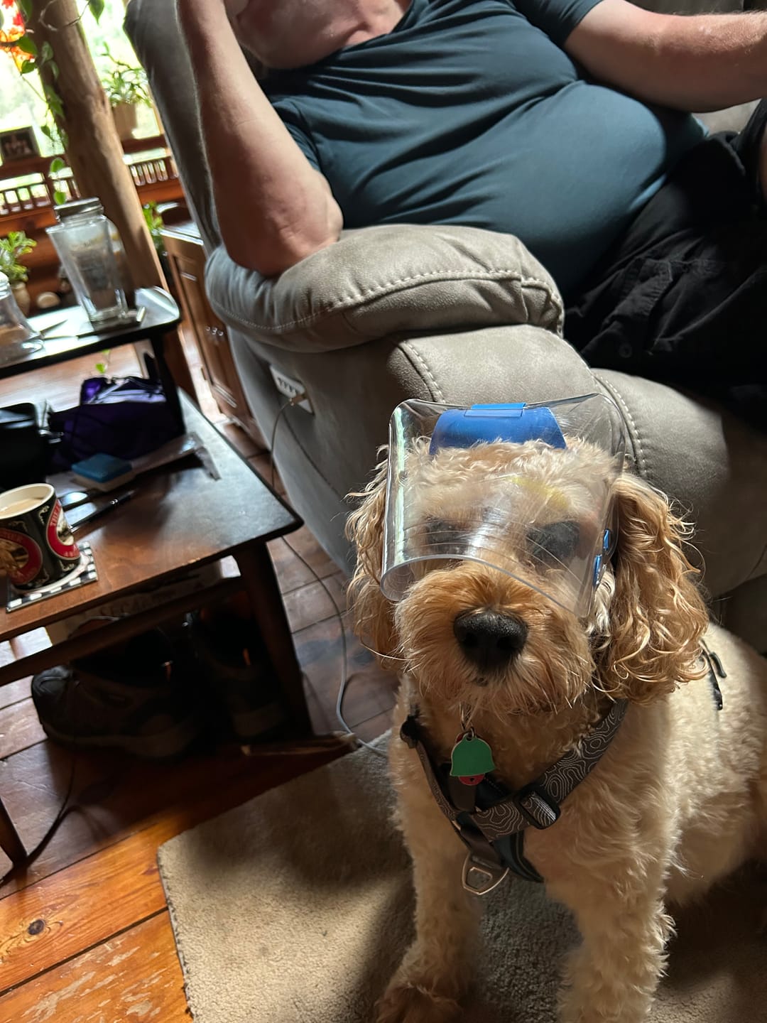 Customer photo review of OptiVizor - Regular Snout - Clear UV Tint