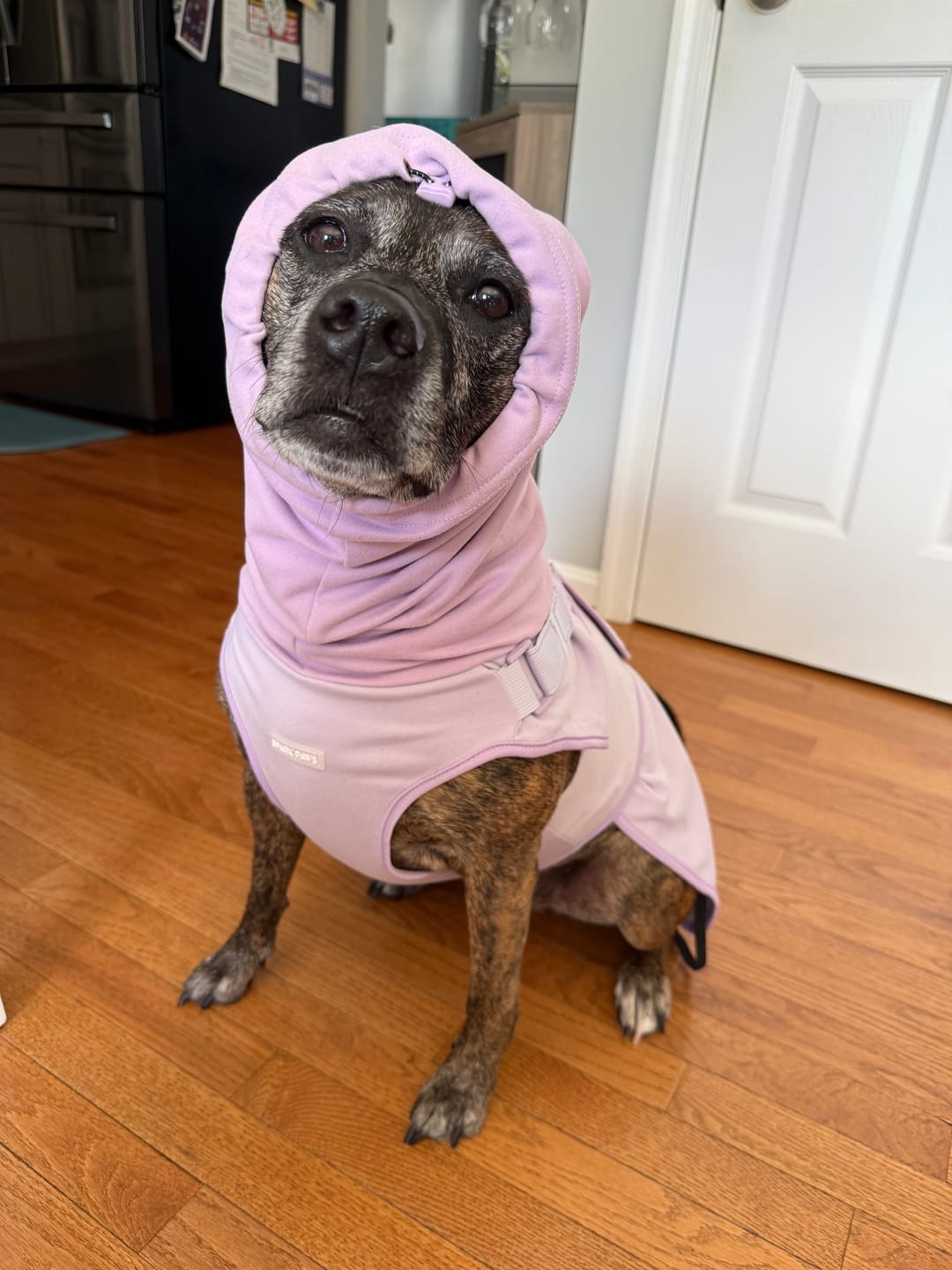 Customer photo review of Anxiety Calming Suit - Purple