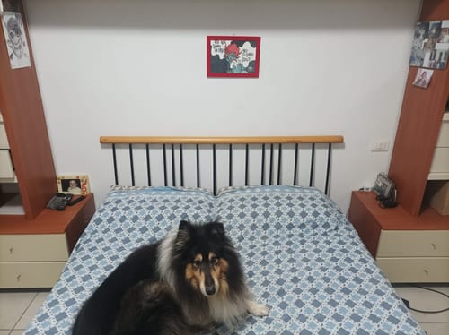 Customer photo review of Stampa su Cartoncino - Ci Siamo Scelti