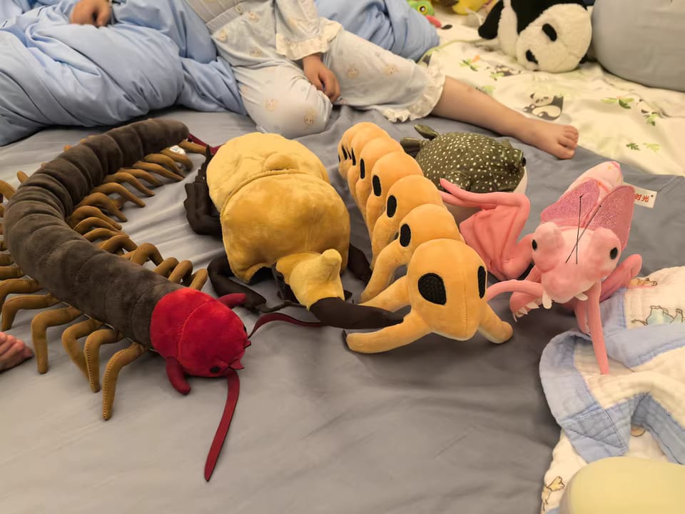 Customer photo review of Realistic Pink Orchid Mantis Plush – Lifelike, Soft, and Perfect for Insect Enthusiasts