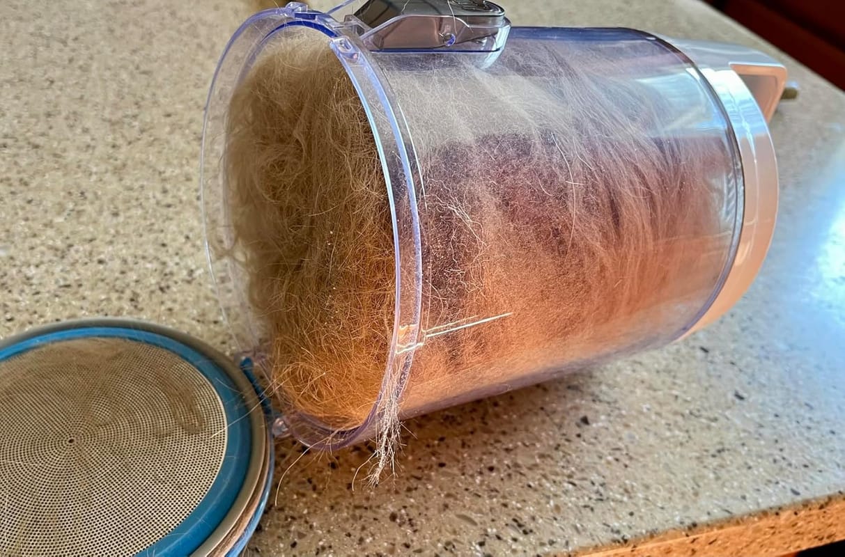 Customer photo review of Neakasa P2 Pro 5-in-1 Haustierpflege mit Staubsauger für Hunde & Katzen