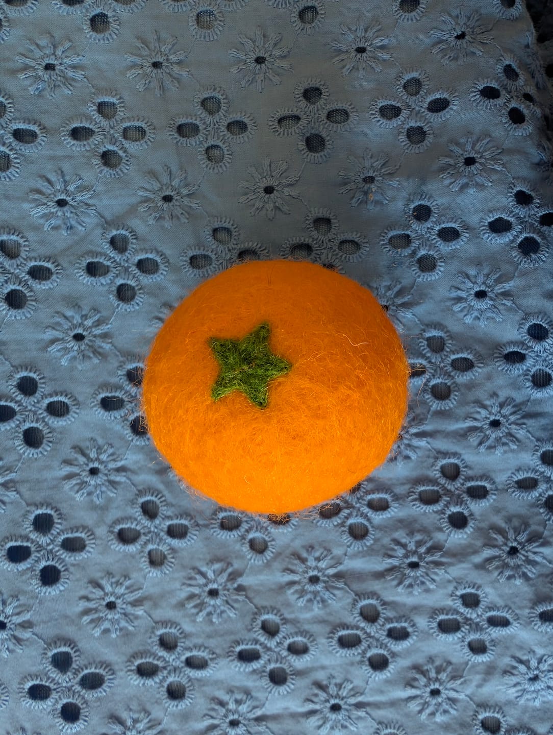 Customer photo review of Felt Orange