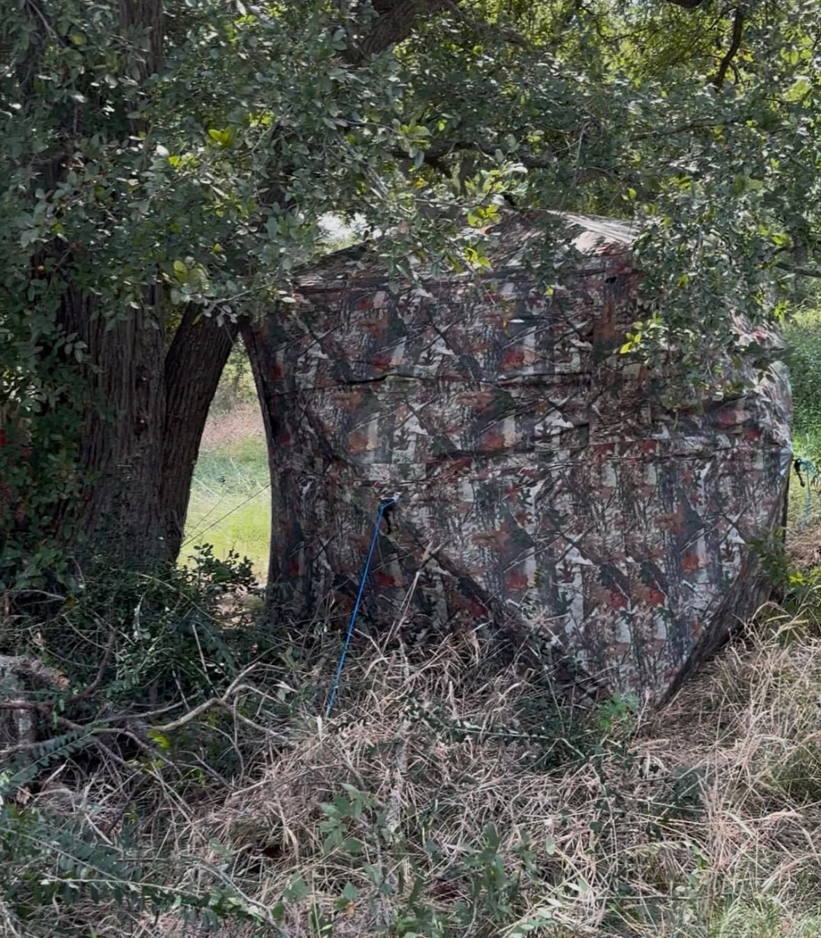 Customer photo review of Tidewe VisST Pop-Up Ground Blinds with See-Through (Silent Magnetic Door)