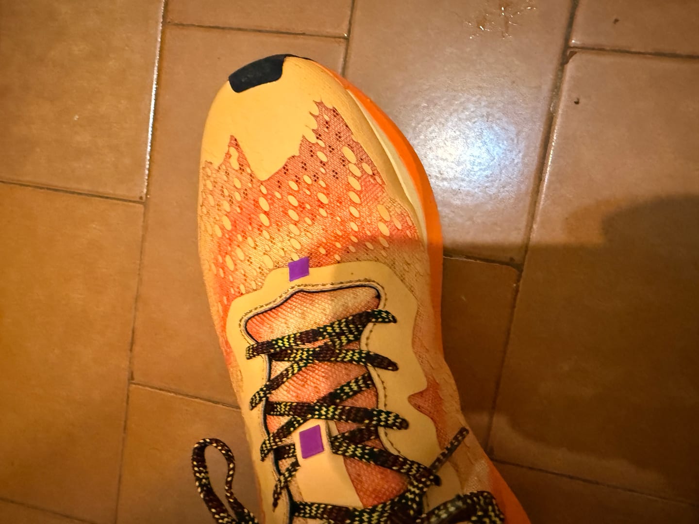 Customer photo review of one more, dutch orange.