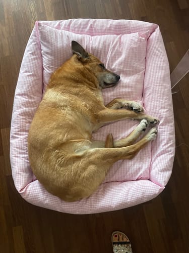 Customer photo review of Divanetto Vichy Rosa