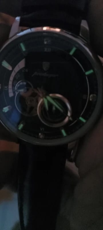 Customer photo review of Gold-Tone Skeleton Tourbillon Automatic Watch — Brown | KIMLUD