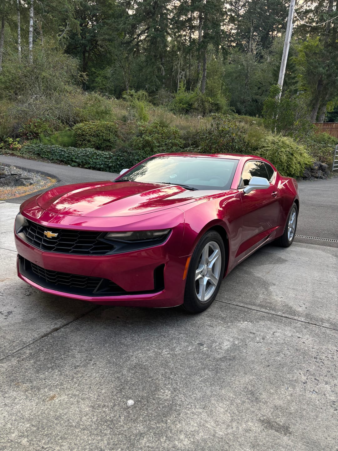 Customer photo review of Glossy Metallic Rubellite Purple Vinyl Wrap