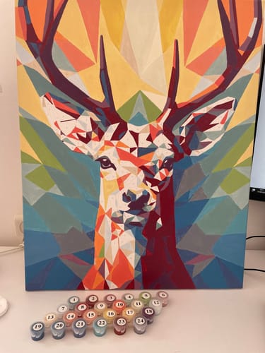 Customer photo review of צביעה לפי מספרים - PBN0109