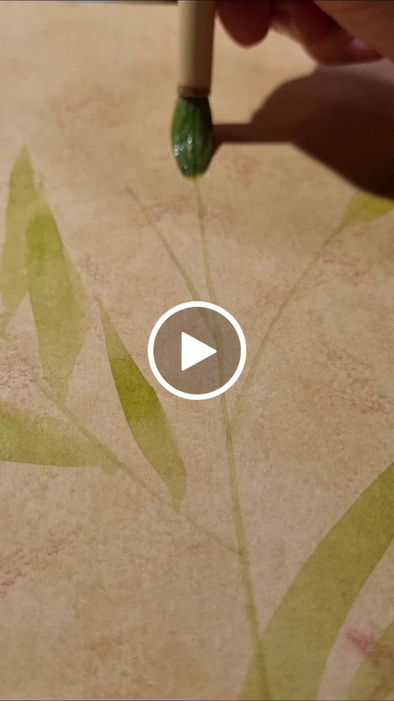Customer video review of Chinoiserie Brush Set of 3