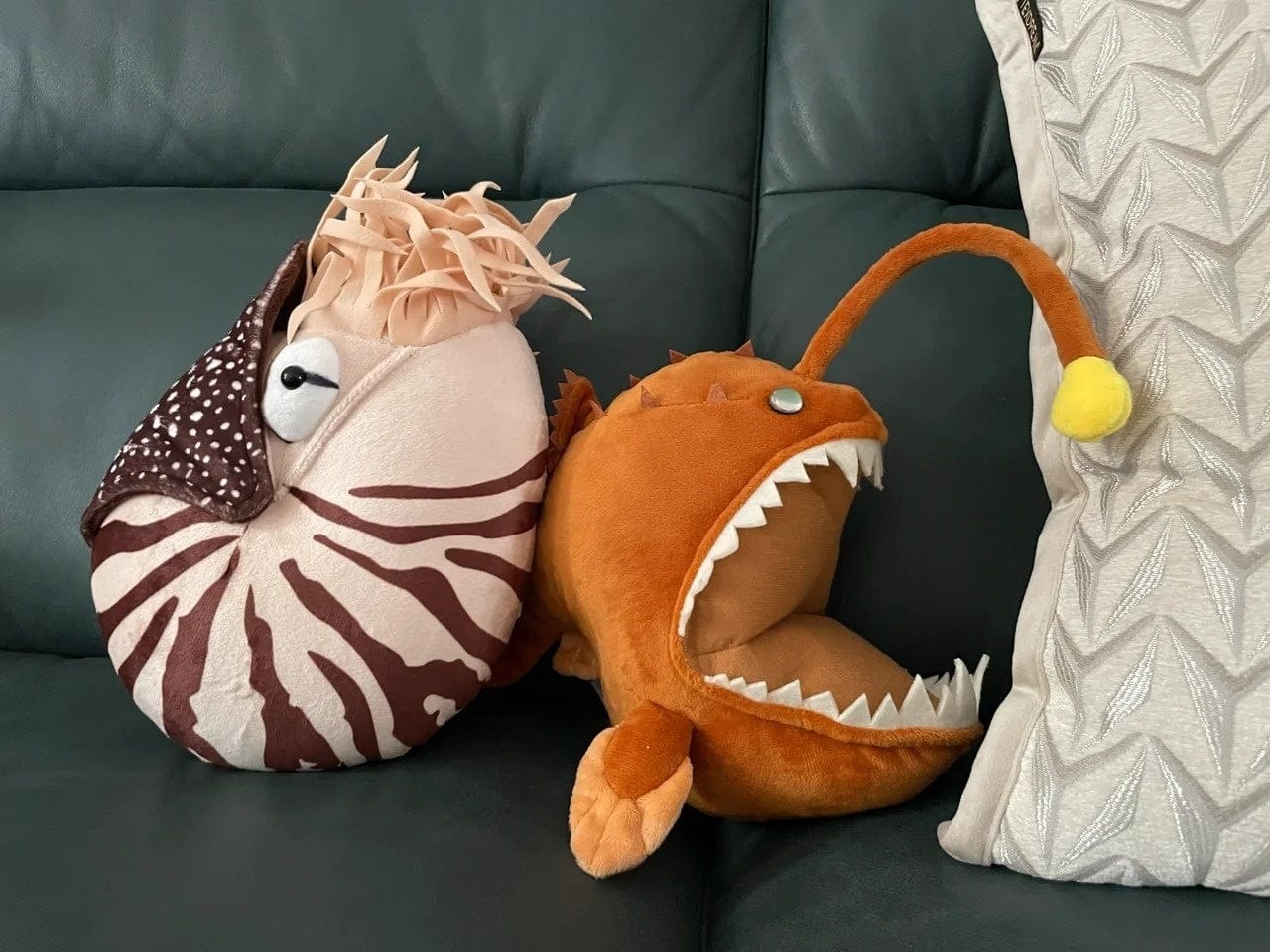 Customer photo review of Nautilus Plush Toy – Soft and Realistic Marine Stuffed Animal