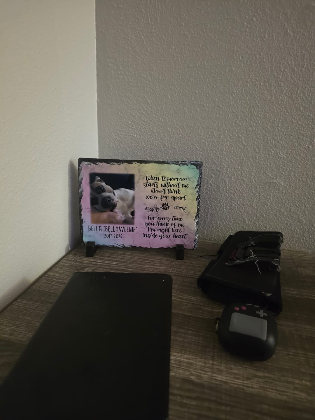 Customer photo review of Cat Memorial Gifts Plaque   When tomorrow starts without me   Personalized Keepsake
